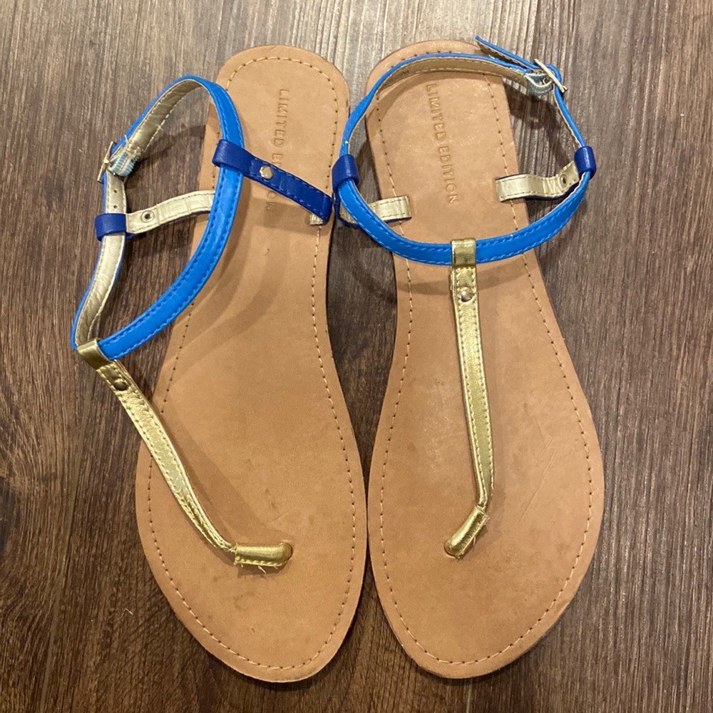 Gold and blue sandals